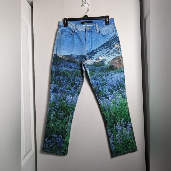 Hudson jeans barbara straight mountain floral field outdoor boho artsy novelty - Picture 1 of 7